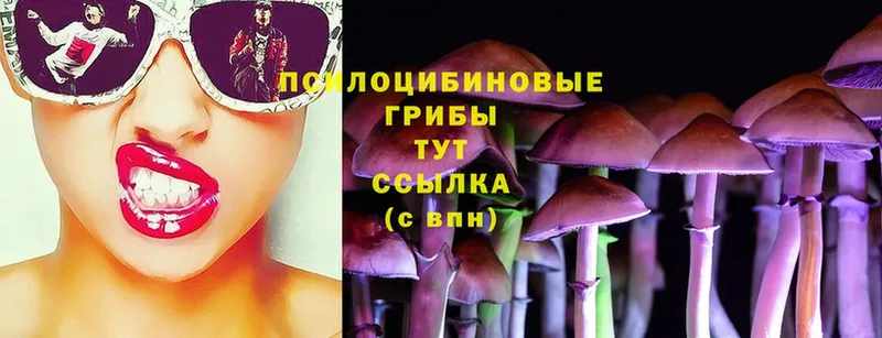 Галлюциногенные грибы MAGIC MUSHROOMS  Ишим 